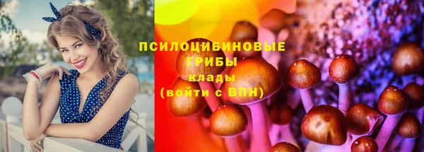 дмт Инта