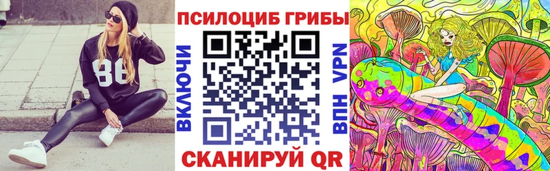 где найти наркотики  Курильск  Галлюциногенные грибы Psilocybine cubensis 