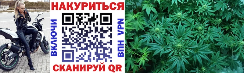 Бошки марихуана сатива  Курильск 